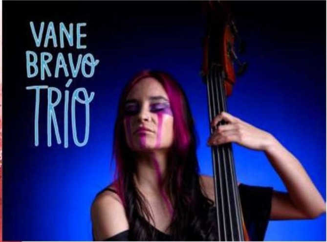 Vane Bravo Trío