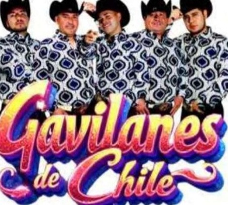 Gavilanes de Chile