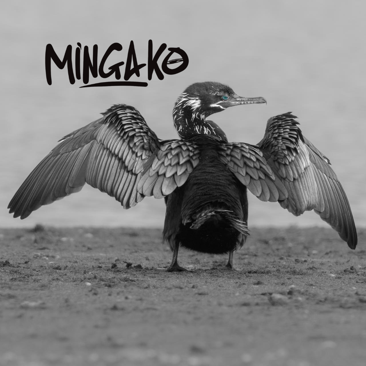 Mingako